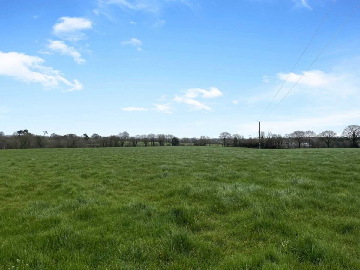 Some of the high-quality land on the 46a farm sold at auction in Wexford recently.