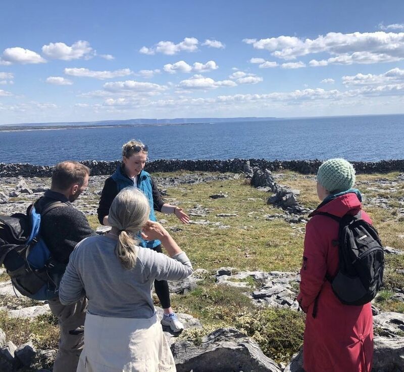 Aedin's Wild Flower tour Aedin's Wild Flower tour