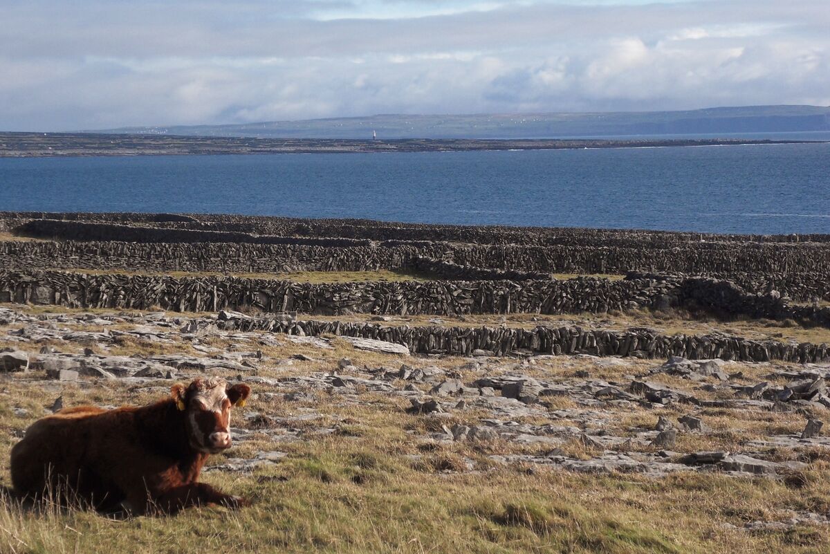  Inis Meáin makes a dramatic setting for a tour