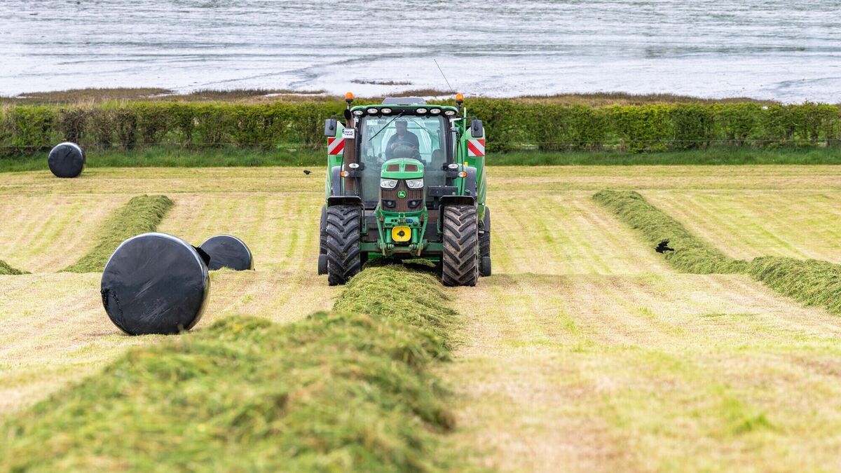 It's first-cut time - Remember quality beats quantity when it comes to silage - Vimarsana News
