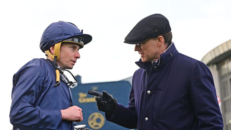Aidan O'Brien accepts a mile may be too short for Auguste Rodin