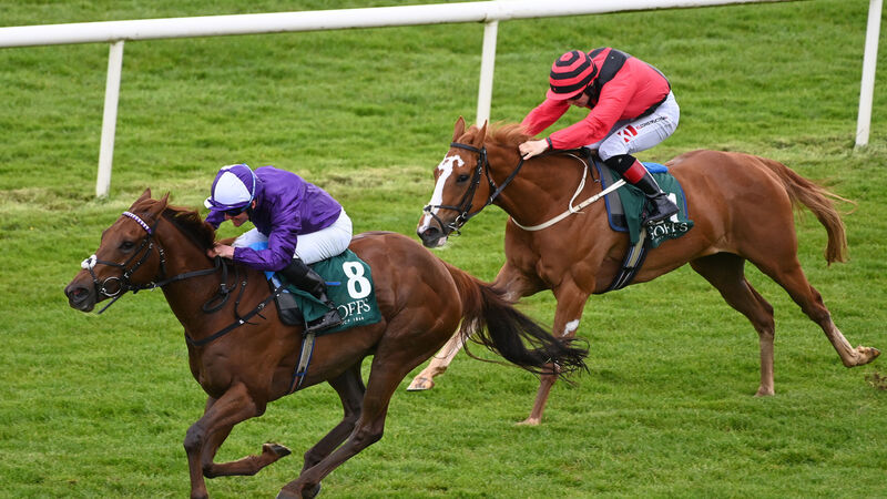 British raider Fix You revels in testing Cork ground