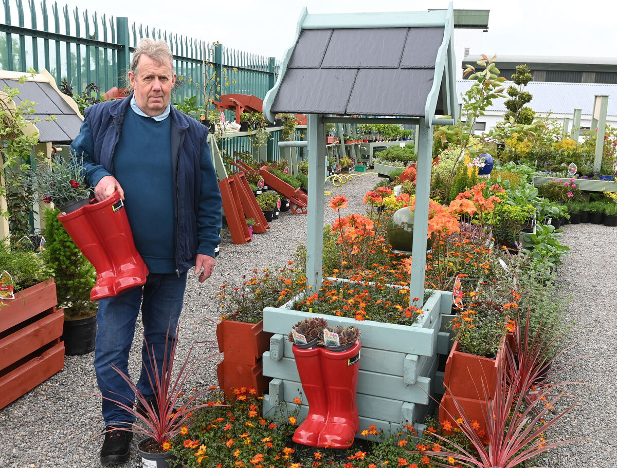 Staff member Ted Riordan working at the garden centre at Cuan Mhuire in Bruree. Picture: Eddie O'Hare