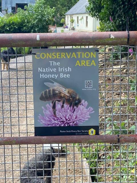 Native Irish Honey Bee conservation area