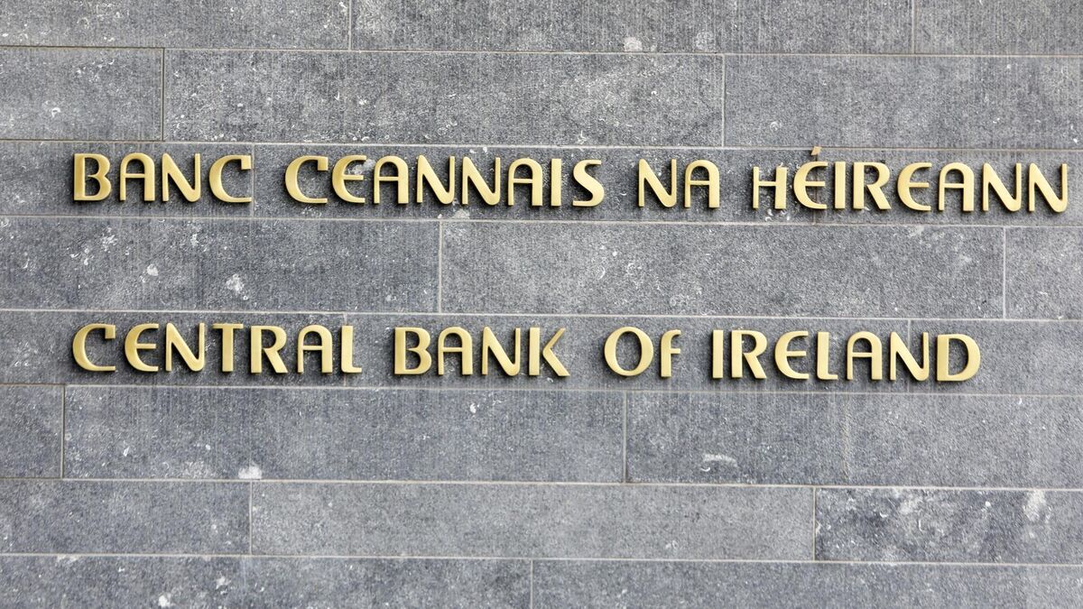 Central Bank gets provisional liquidators appointed to Cork-based investment fund - Vimarsana News