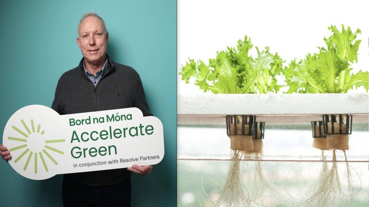 Ethical entrepreneurs with big green dreams of a cleaner world - Vimarsana News