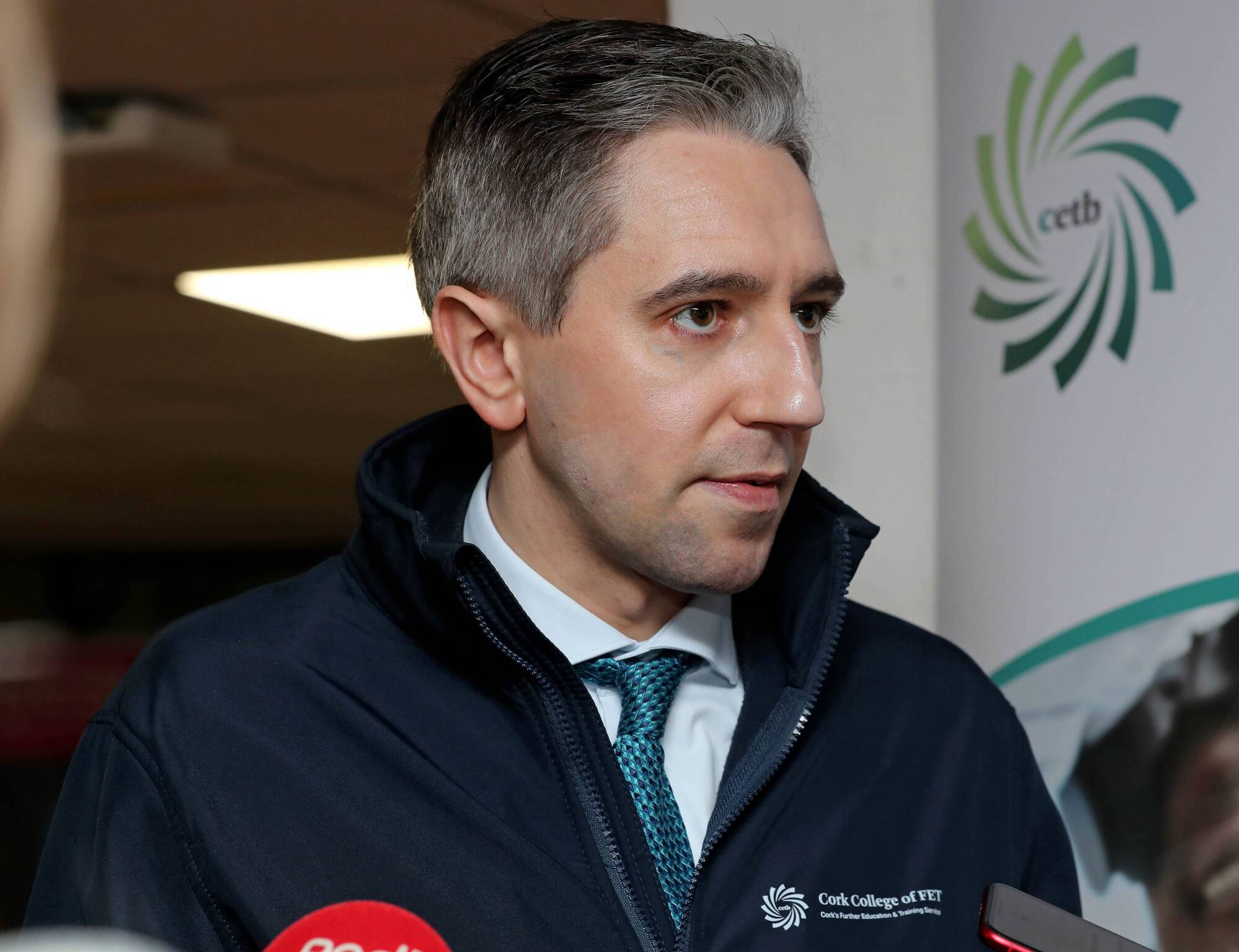 Simon Harris confirms two allegations of child sex abuse in relation to the Probation Service