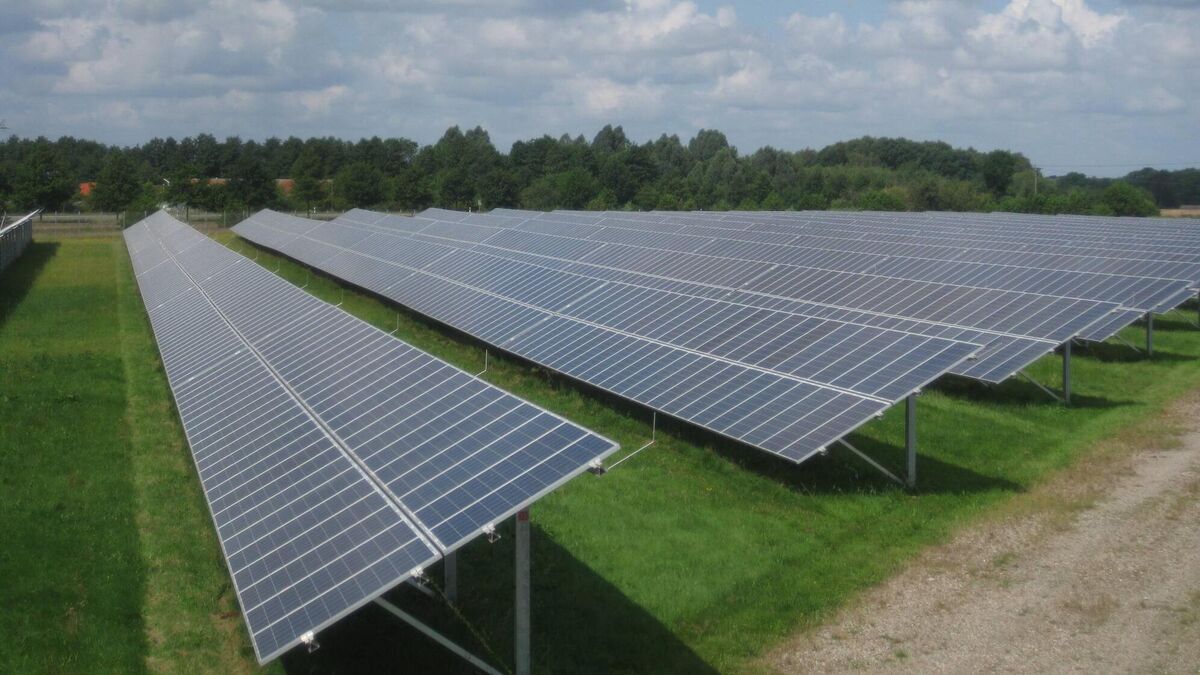 Karen Walsh: I've been approached by a solar company - but don't know where to start - Vimarsana News