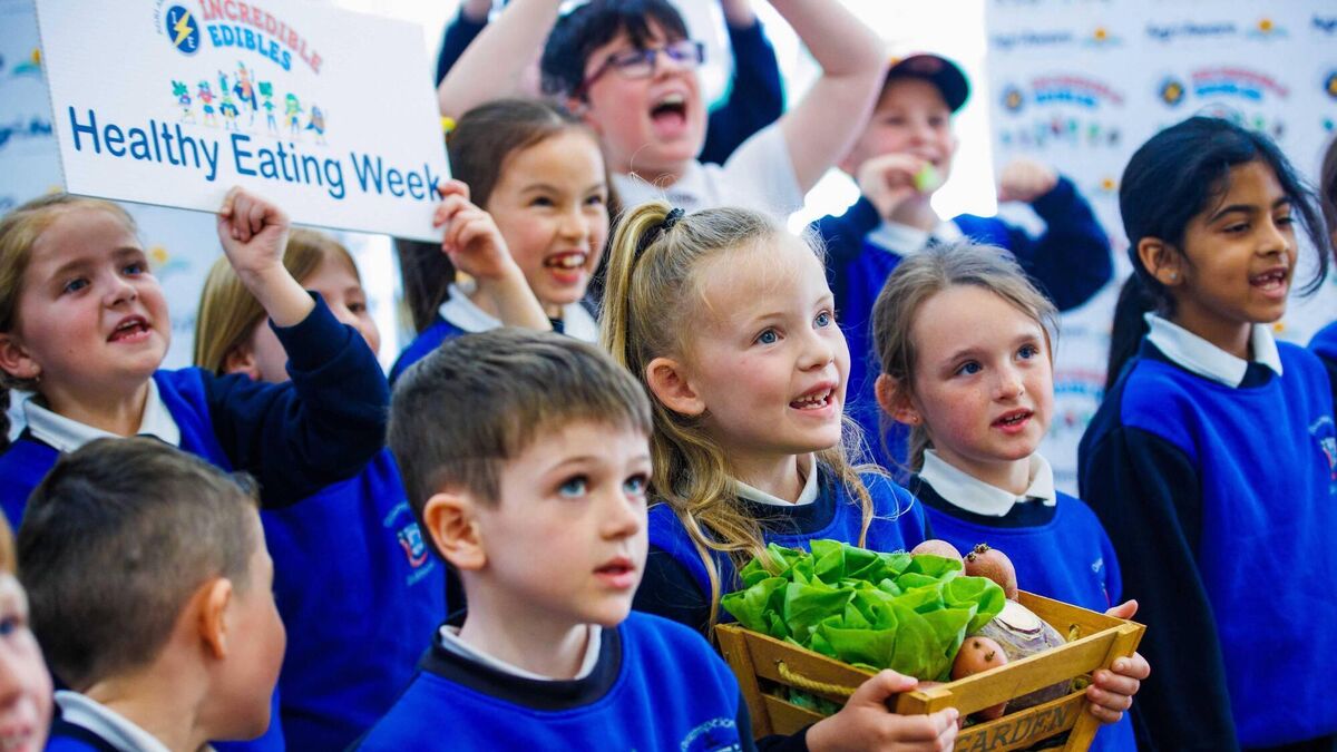 Healthy Eating Week showcasing benefits of a positive relationship with Irish-grown food - Vimarsana News