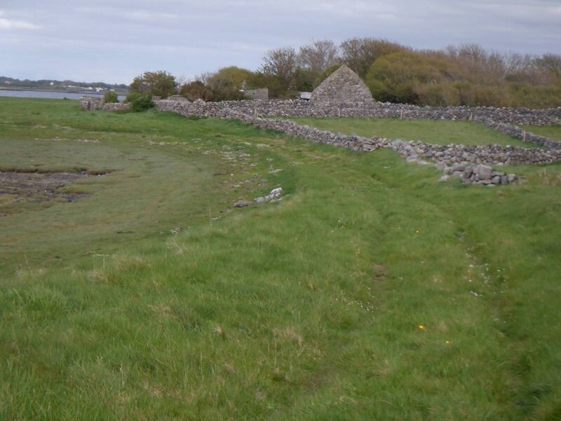Curlew, pipits, oystercatcher, gulls, terns, bullfinch, and swallows spotted on Islandeddy, County Galway. Picture: Dan MacCarthy Curlew, pipits, oystercatcher, gulls, terns, bullfinch, and swallows spotted on Islandeddy, County Galway. Picture: Dan MacCarthy