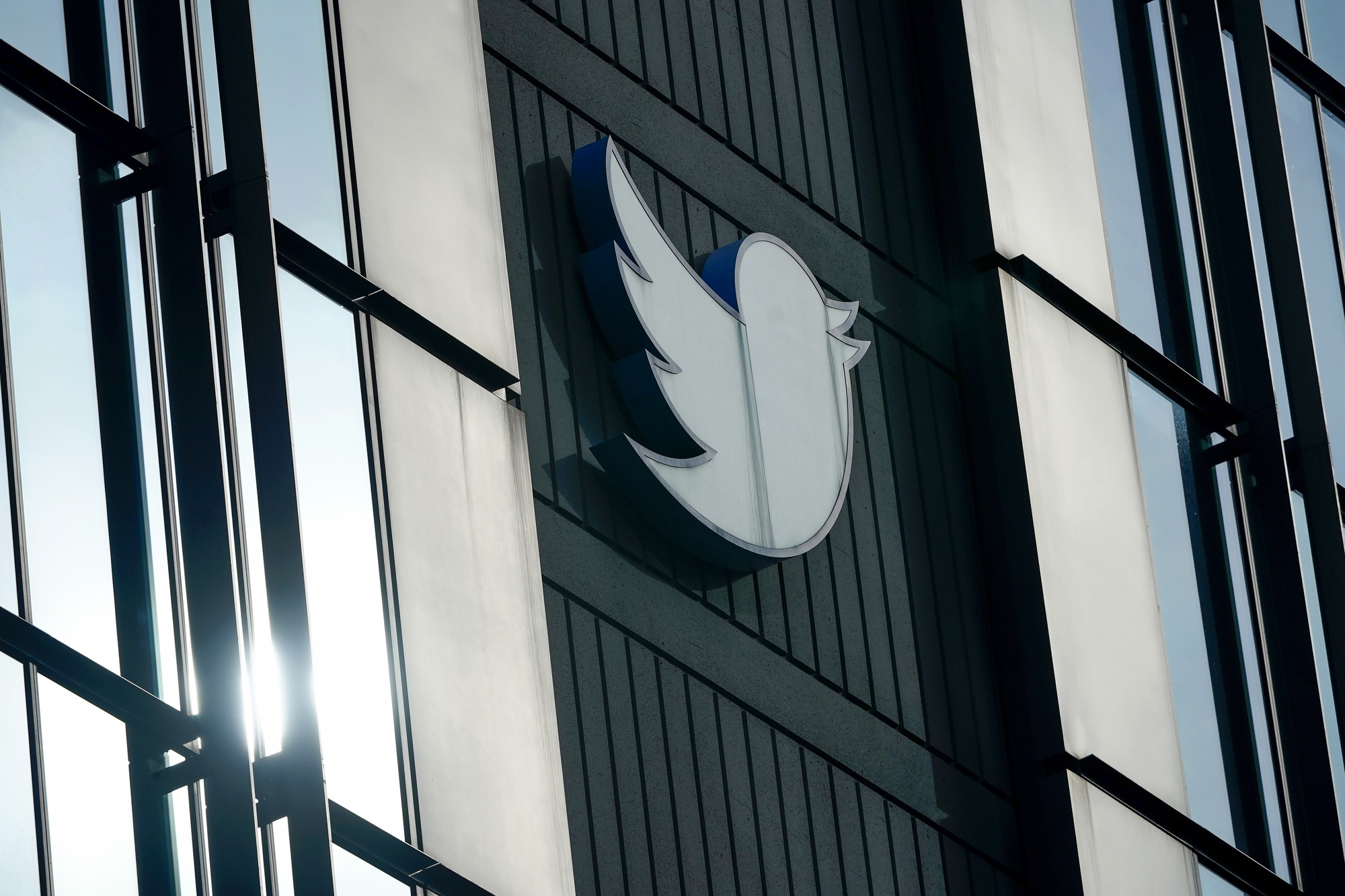 Elon Musk to step down as Twitter CEO as he finds mystery woman for role