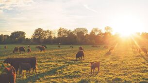 <p>Mr Golden said while the targets in the scheme are challenging, there is a good level of flexibility each year to ensure they can be met.</p>