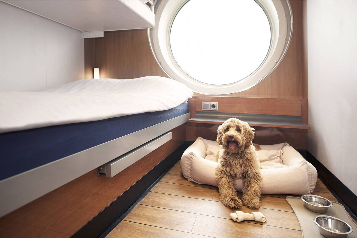 Stena Line are now offering Pet Cabins.
