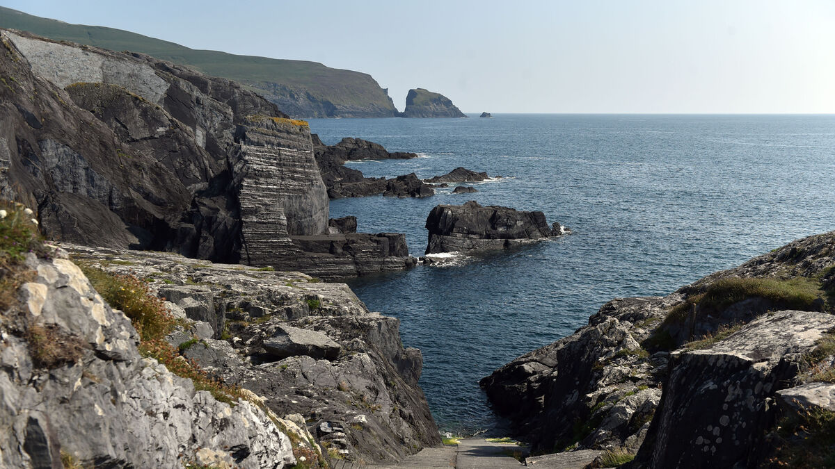 Interpol helping to identify body part found in nets off West Cork coast - Vimarsana News