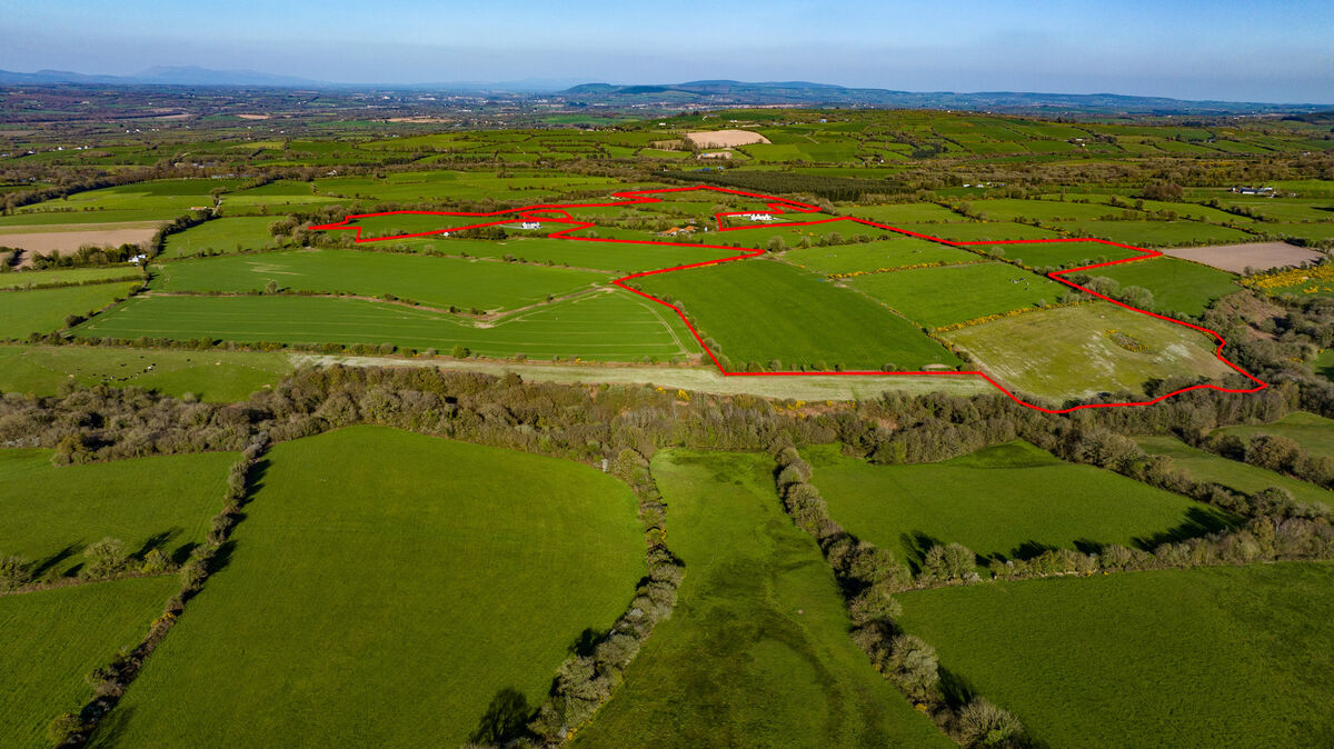 86-acre farm in North Cork offers tempting value