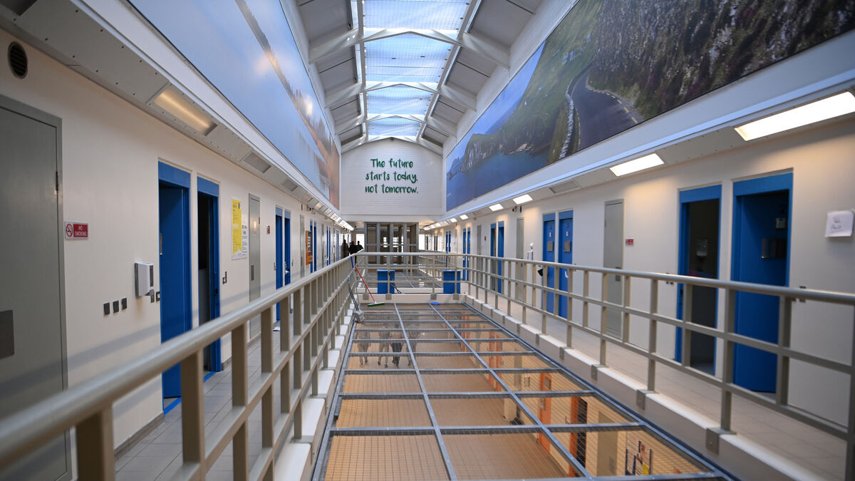 Drug-dealer jailed for knocking Cork teenager unconscious with a claw-hammer - Vimarsana News