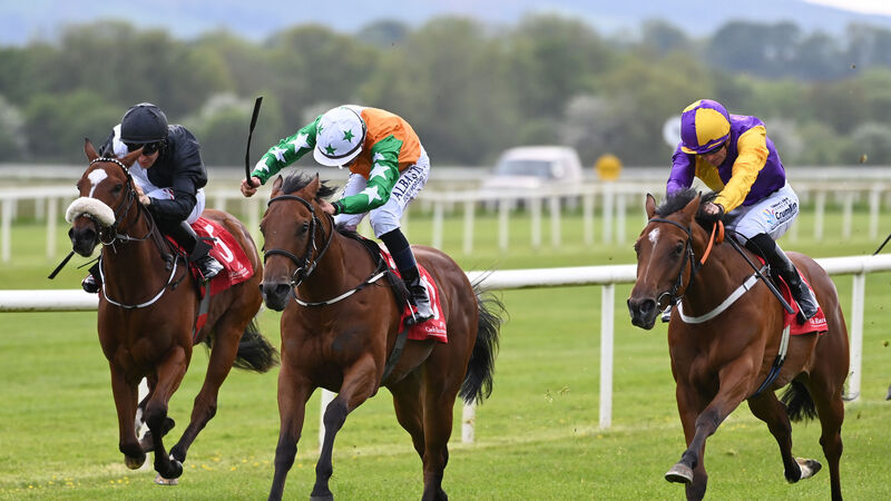 Tiger Belle justifies gamble to land Cork spoils