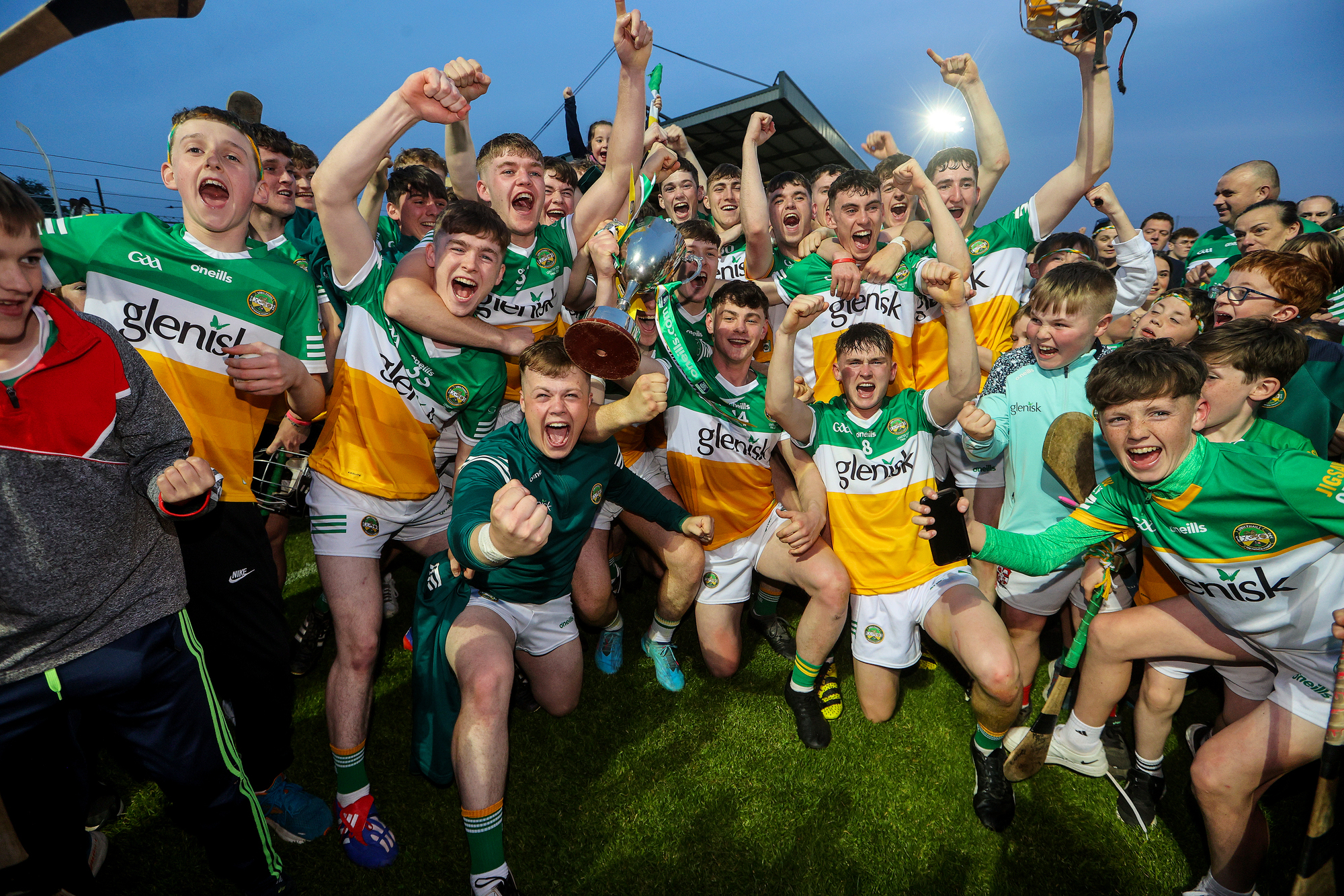 Fearless Offaly overcome Wexford in Leinster U20 Hurling Championship final