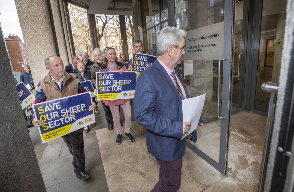 IFA members led by sheep chairman Kevin Comiskey bringing the campaign for stronger supports for the sheep sector to the Department of Agriculture in February.