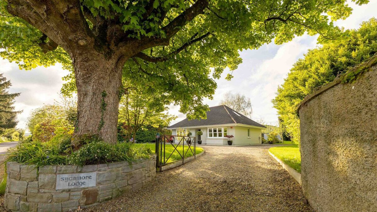 Inspirational bungalow makeover results in pretty as a picture Sycamore Lodge - Vimarsana News