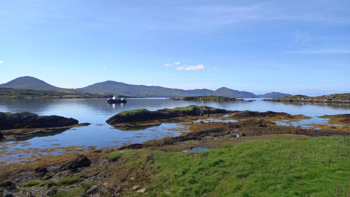 Report of unlicensed seaweed harvesting in Kenmare River SAC - Vimarsana News