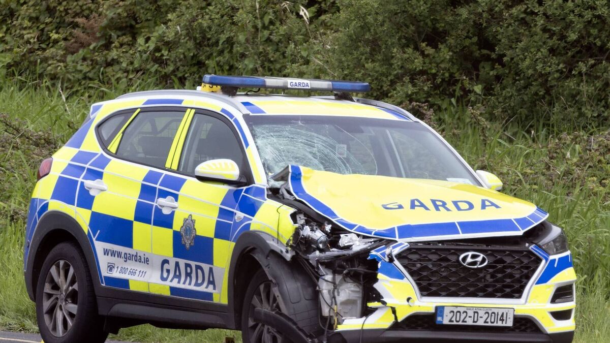 Pedestrian killed after being hit by garda car is named - Vimarsana News