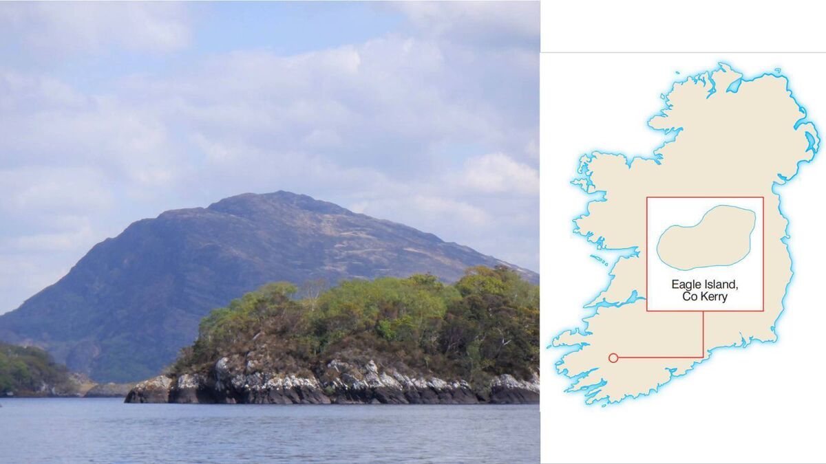 Islands of Ireland: Eagle Island, where eagles once flourished - Vimarsana News
