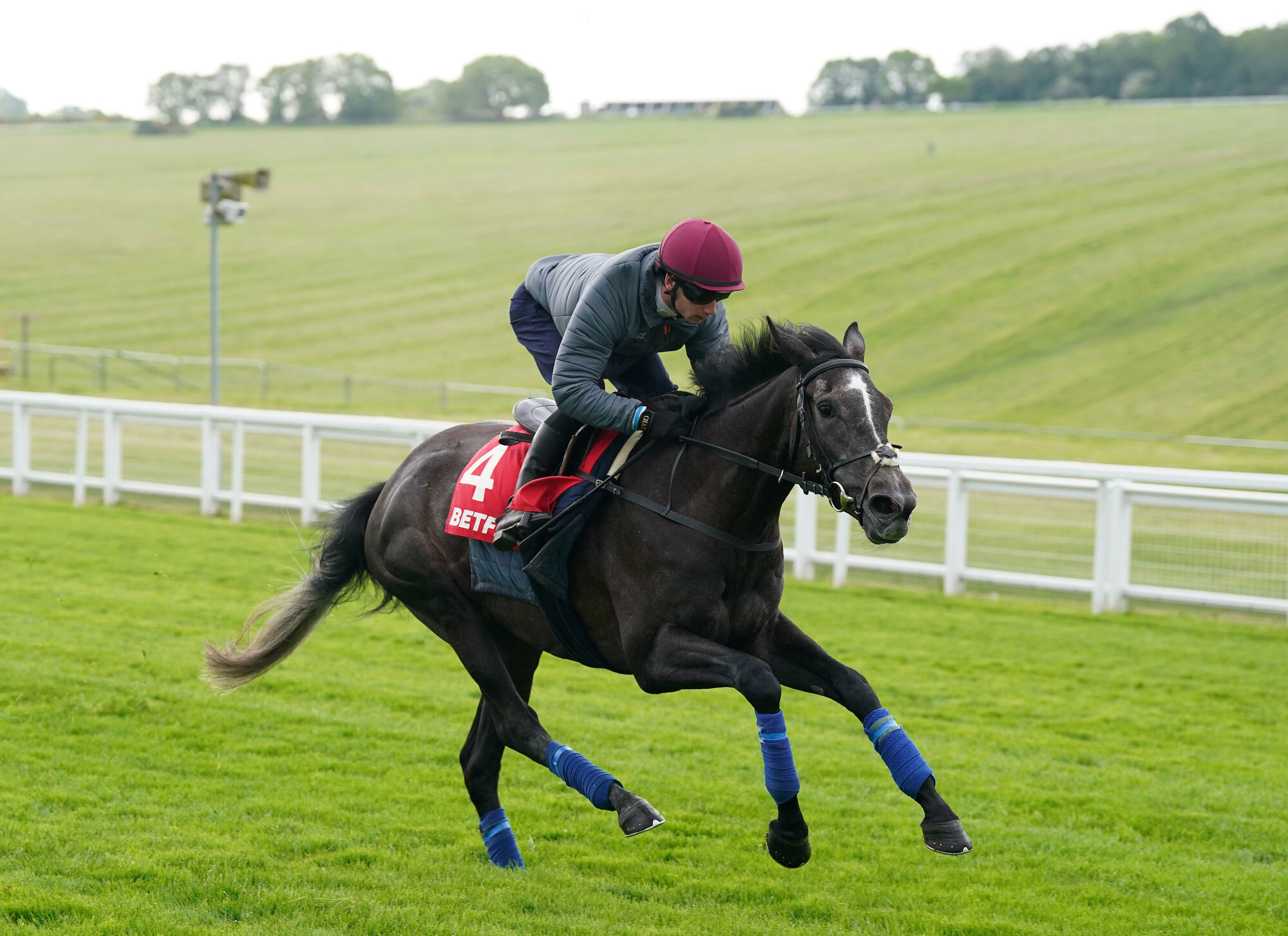 Oisin Murphy dreaming of Derby and Oaks double