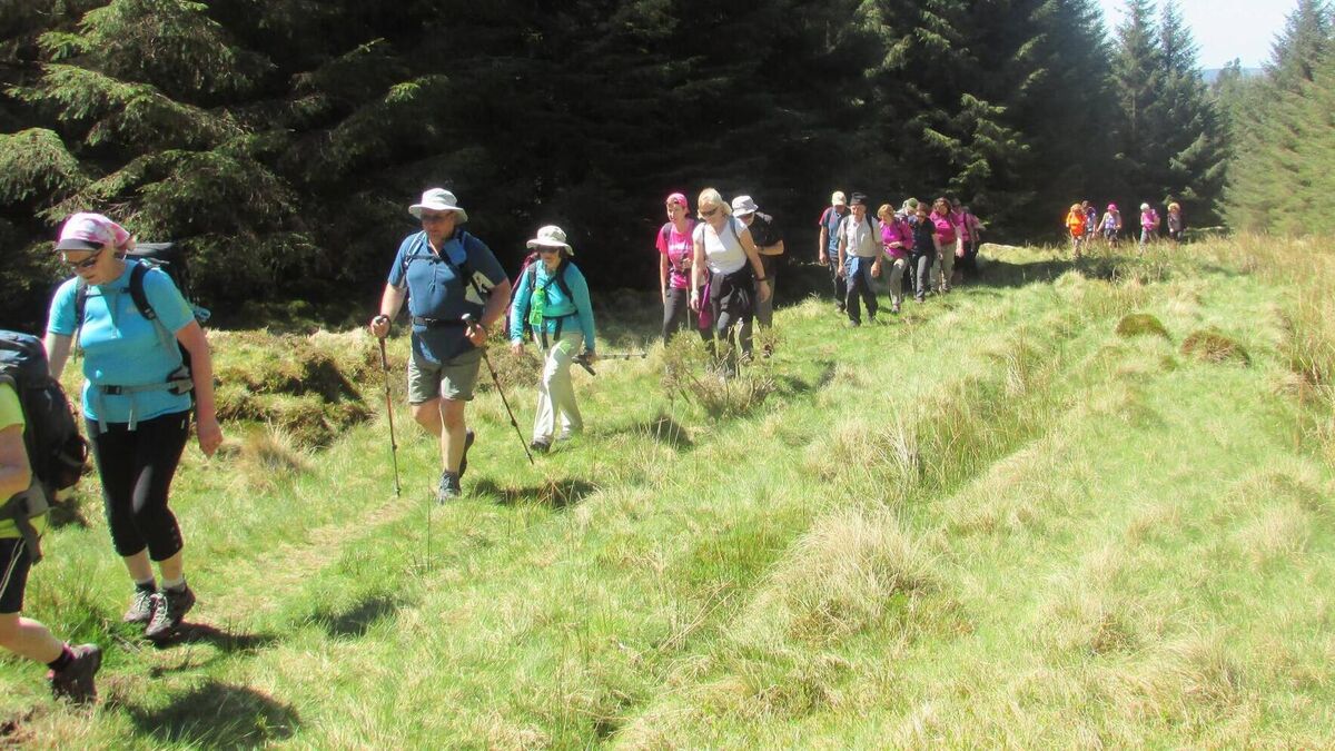 Five hikes where you can get Irish Pilgrim Passport stamps - Vimarsana News