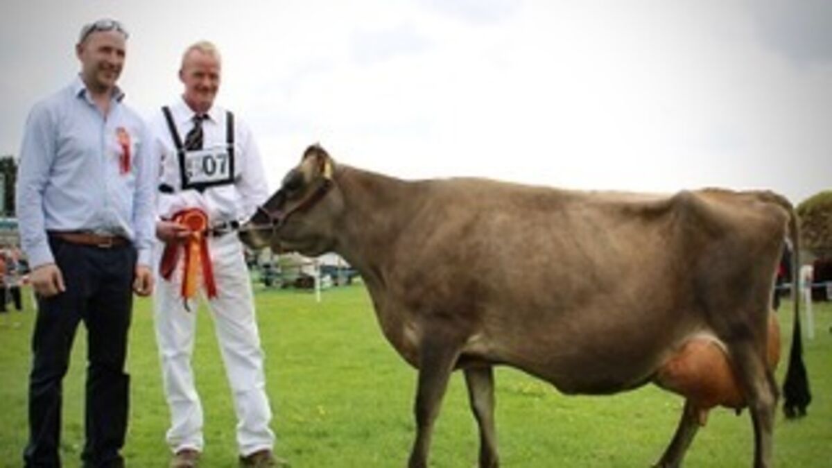 Paula Hynes: Bringing a veteran to the Bandon Show - Vimarsana News