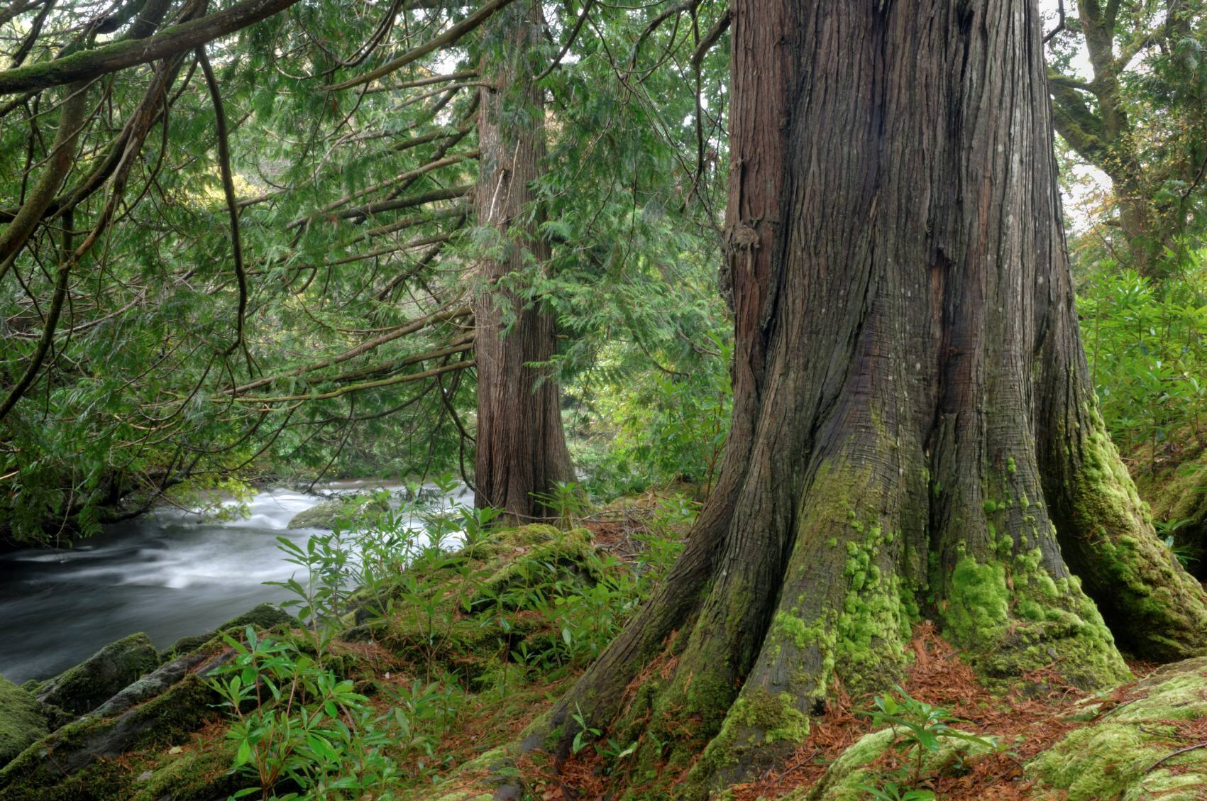 Government told to move quicker on carbon sequestration