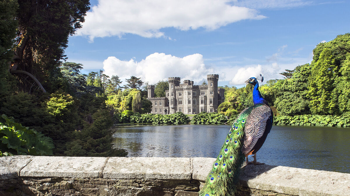 Five great houses and gardens of Ireland to visit this summer - Vimarsana News
