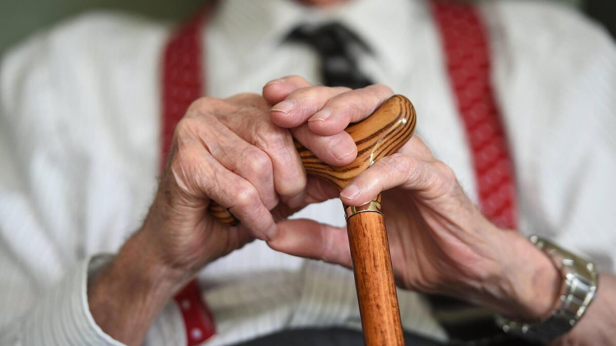 Pensioners and carers set for €10 increase in payments in next budget - Vimarsana News