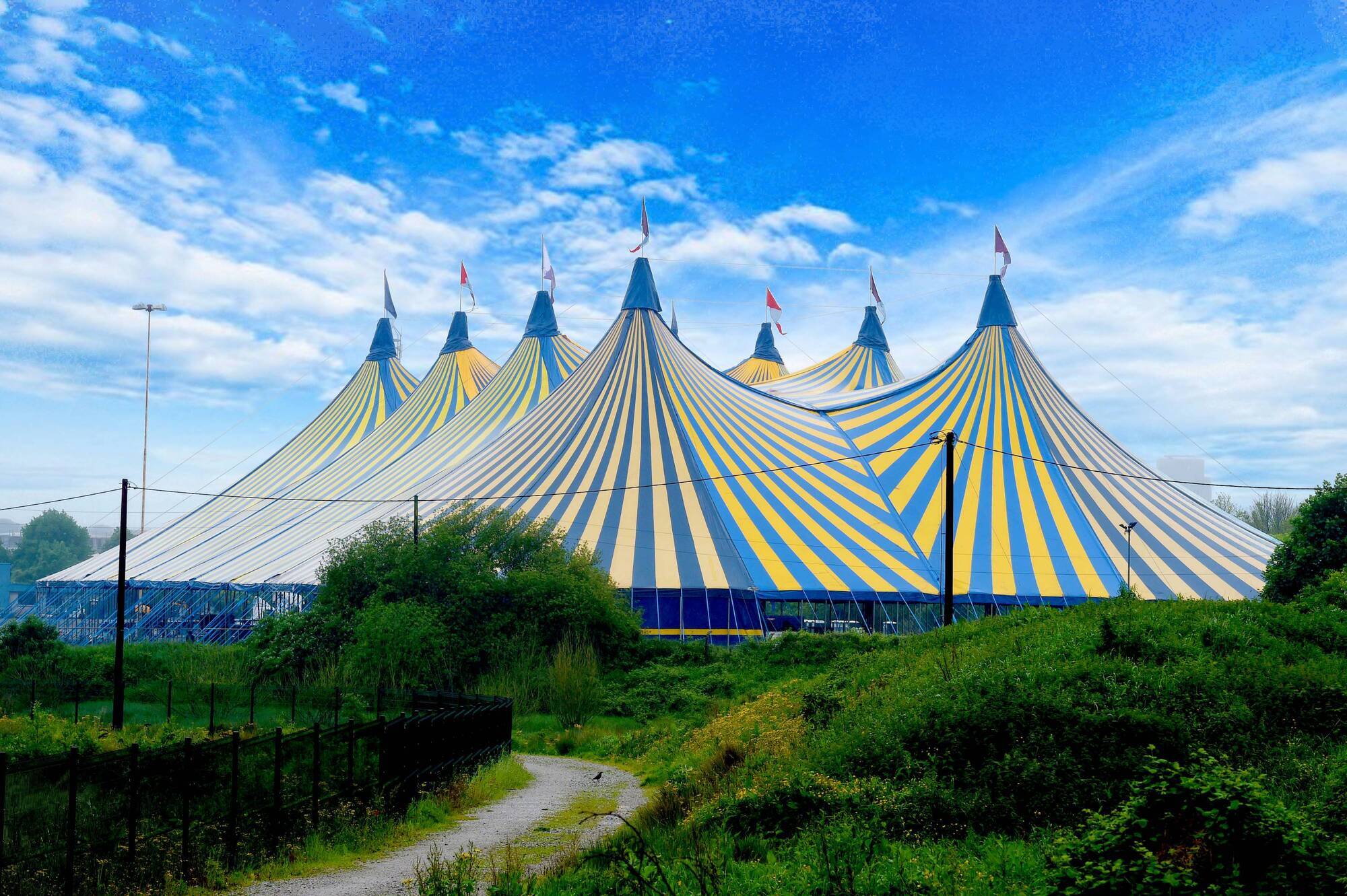 Live at the Marquee FAQs: Everything you need to know about timings, food and parking