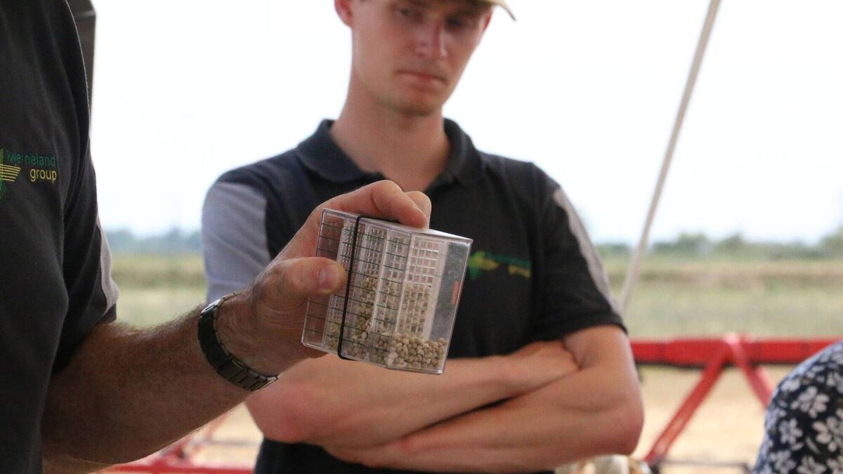 Getting more from less – how agtech is working to solve the world's fertiliser crisis - Vimarsana News