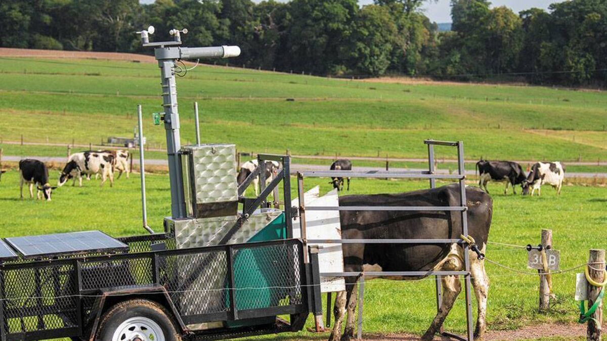 The era of the eco cow: Is it possible to breed for lower methane emissions? - Vimarsana News