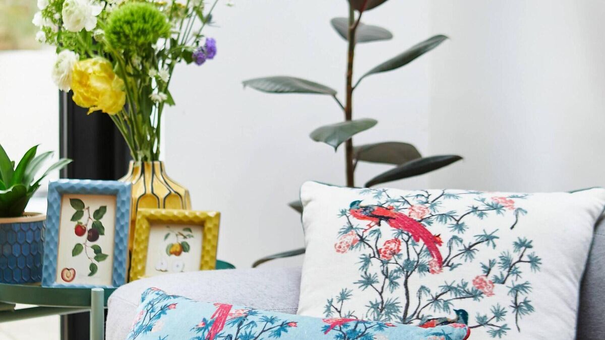 Revealed: Carolyn Donnelly's summertime home collection for Dunnes Stores - Vimarsana News