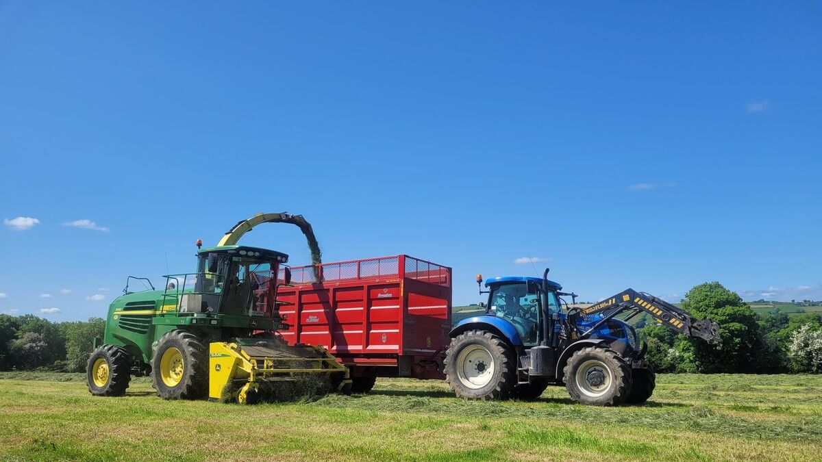 Silage - with a hint of organics - Vimarsana News