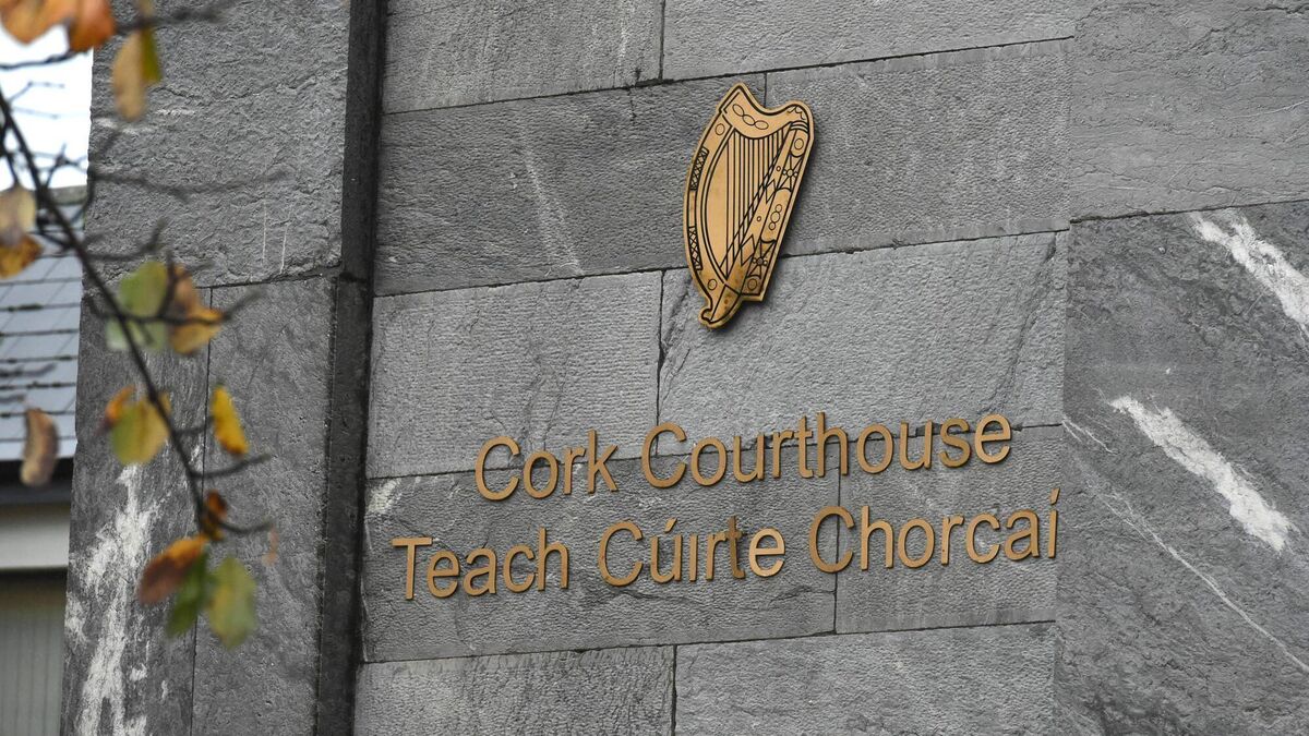 Cork man jailed after shoplifting spree - Vimarsana News