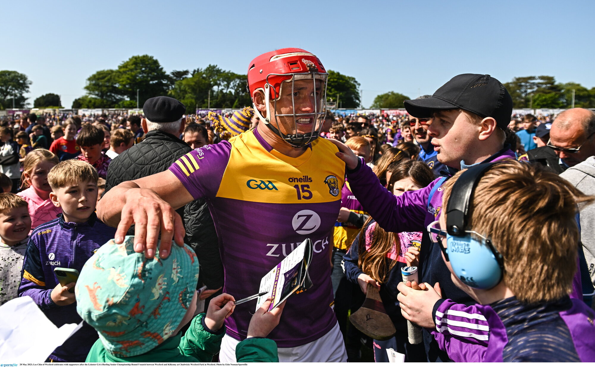 Wexford escape the drop after epic battle with Kilkenny swings their way
