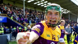 <p>FIGHTING SPIRIT: Wexford’s Conor McDonald celebrates after the game. Pic: ©INPHO/Ken Sutton</p>