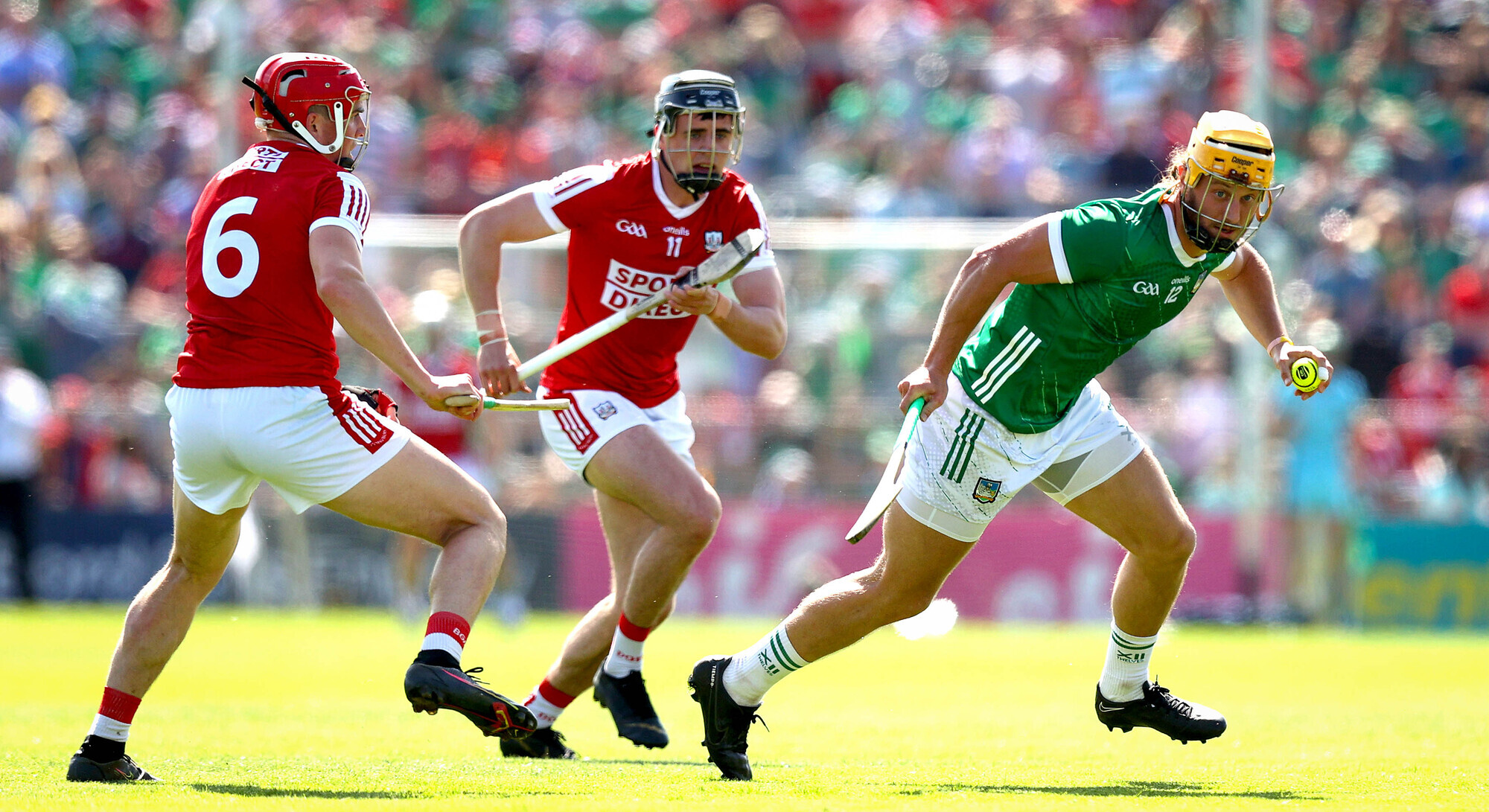 Anthony Daly: Hegarty stood tall when Limerick need was greatest