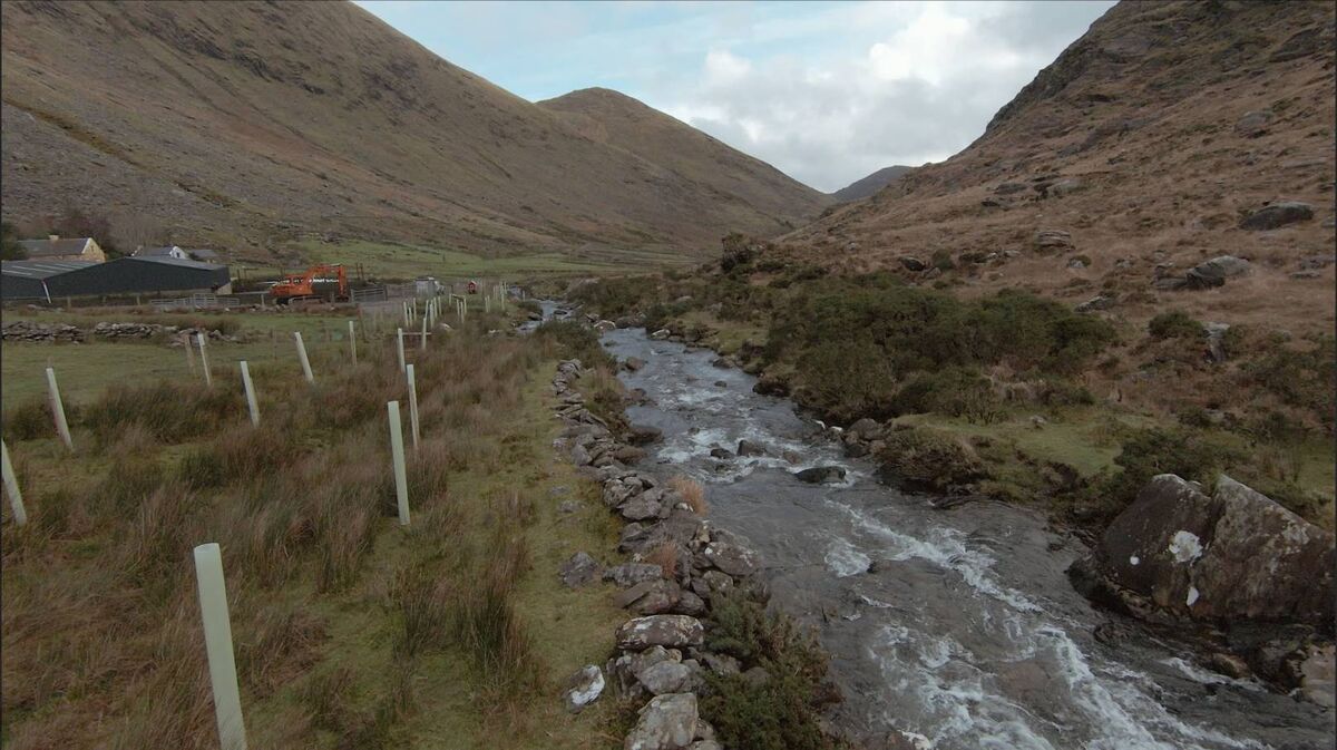 Each tree requires protection from grazers and maintenance while roughly 20% of newly planted trees die due to prolonged periods of dry periods and high winds. Picture: Sandra Spethmann