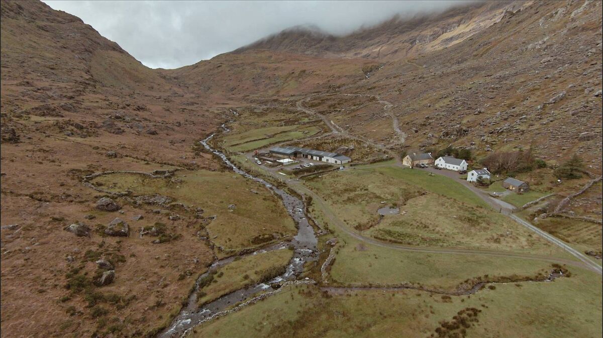 Historically and currently a sheep farm, the land had been heavily grazed for decades and having felt that resources are constantly taken without much in return, the Sullivan family set out to give back to the land. Picture: Sandra Spethmann