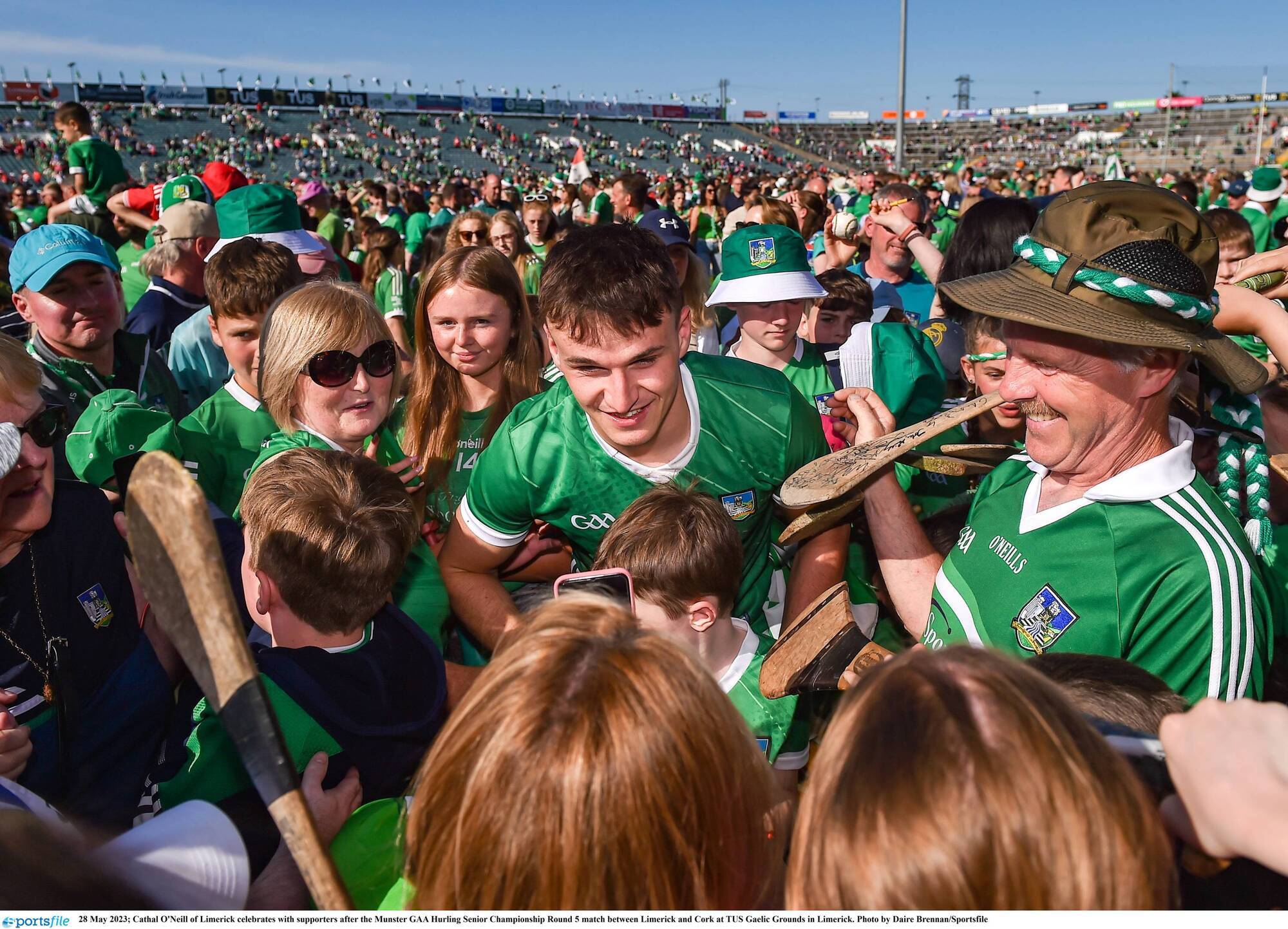 Limerick's Gaelic Grounds to host Munster hurling final