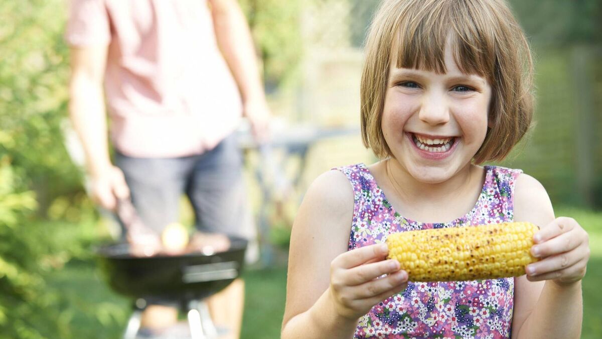 Five dishes to bring to a summer barbecue, from salad to dessert - Vimarsana News