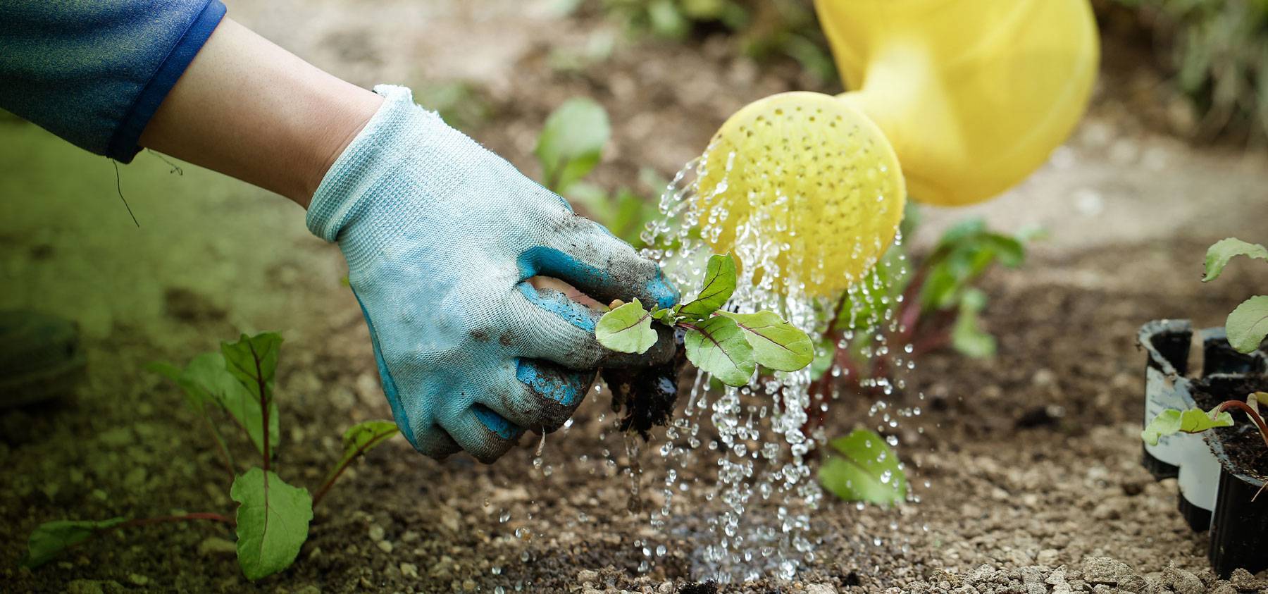 Overnight water restrictions to maintain daytime supply will be in place until Friday.