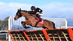 <p>Ifiwerearichman wining the Connollys Red Mills Irish EBF Auction Maiden Hurdle at Down Royal on St Stephen's Day. Picture: Healy Racing</p>