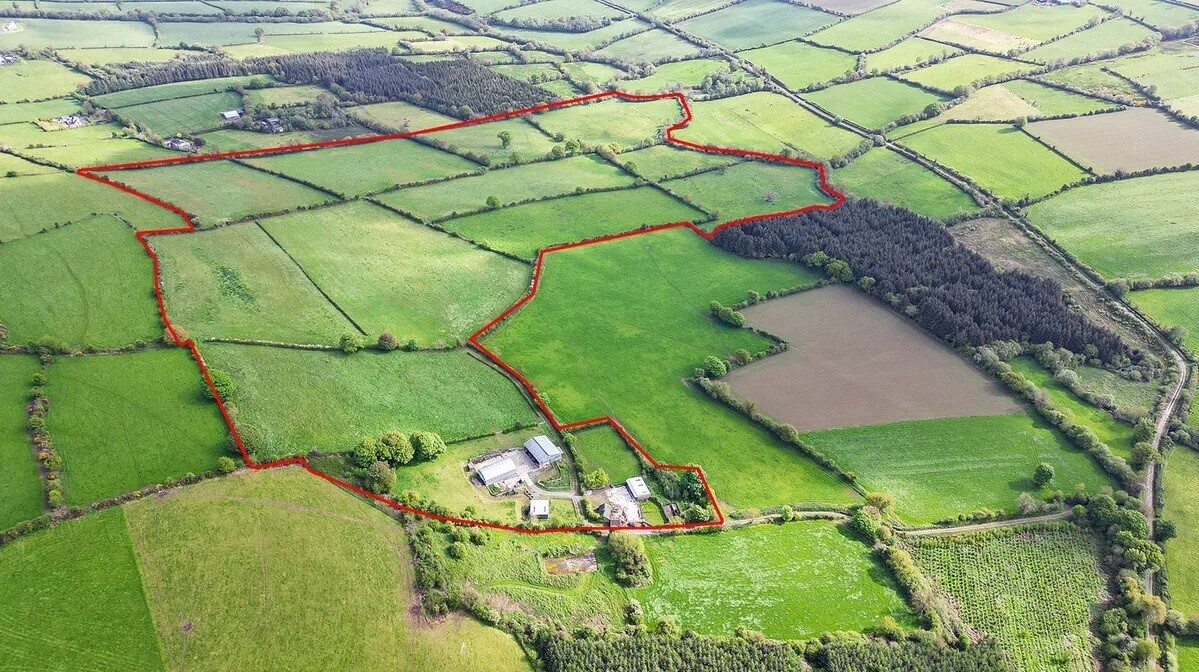 70-acre quality grass farm for auction in Kilkenny