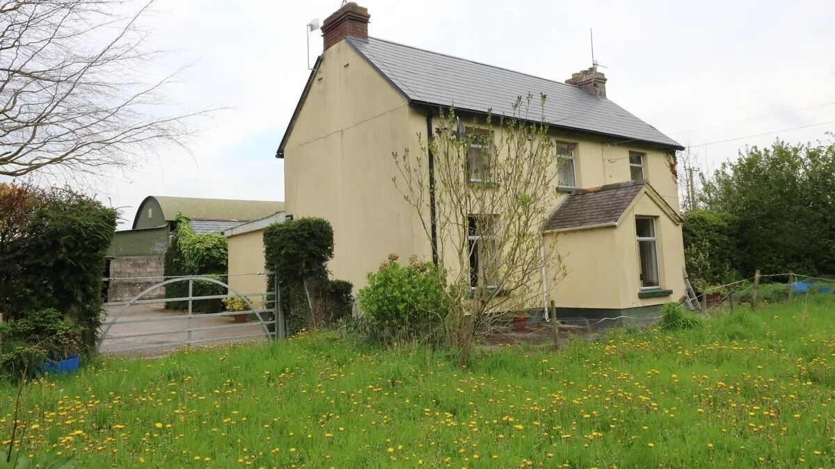 23-acre South Tipp farm hits over €30k/acre at auction - Vimarsana News